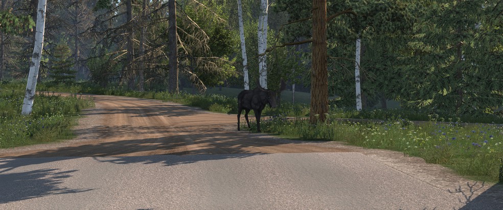Image by DriverJack60