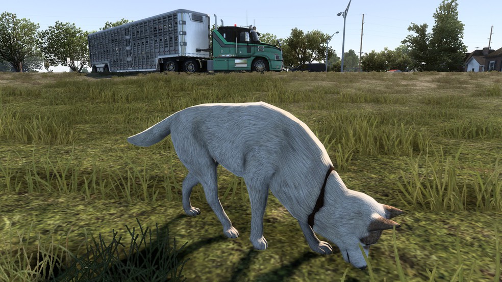 Image by andresbolso11