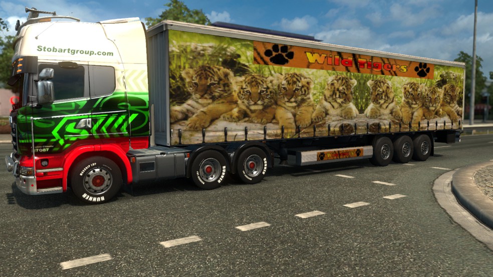 Image by tiger