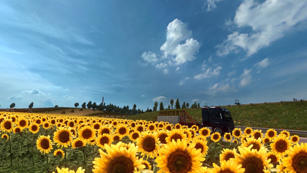Image by thiagostudionozi