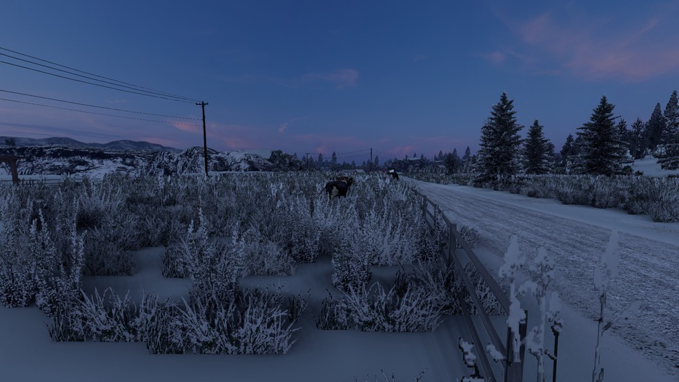 Image by katarzyna1275