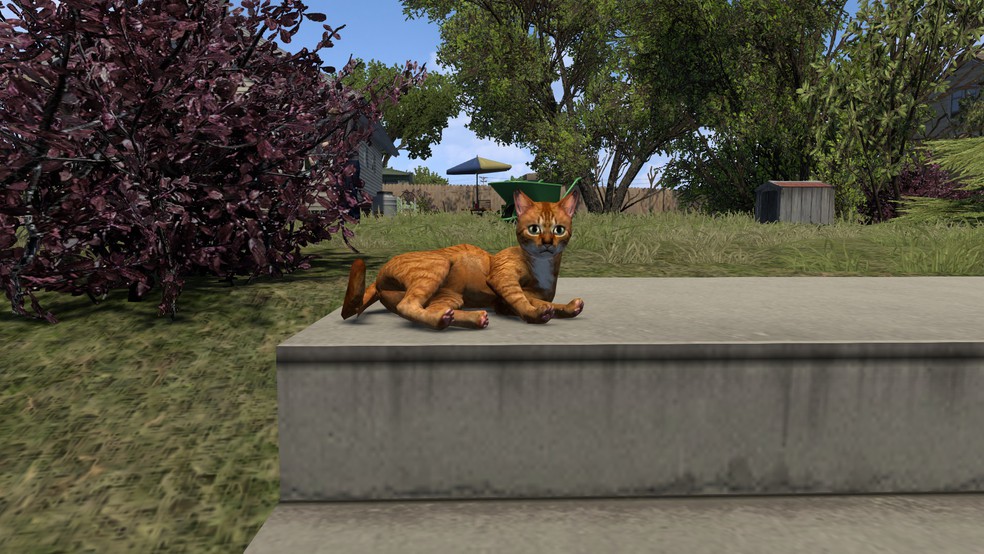 Image by Jogvlen