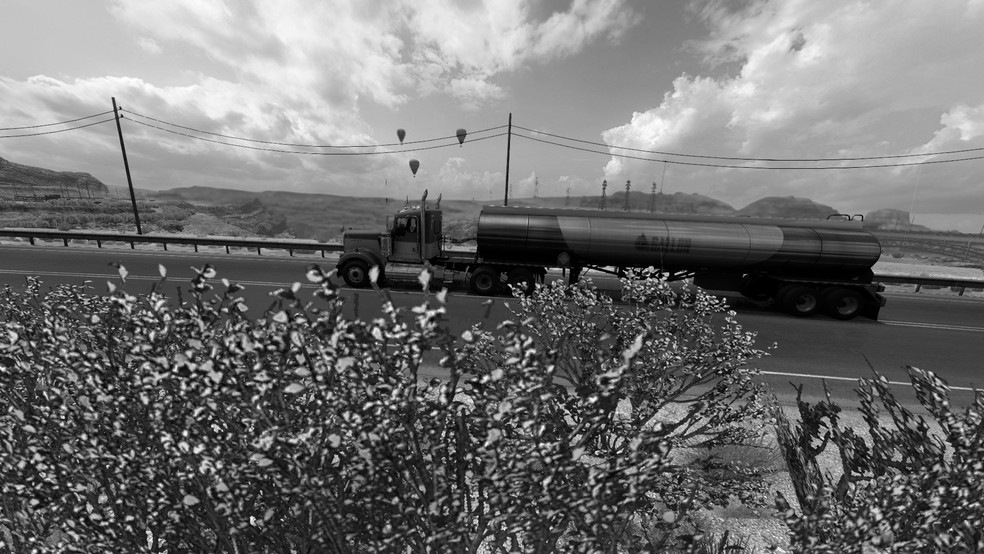 Image by ALFALFAandCO