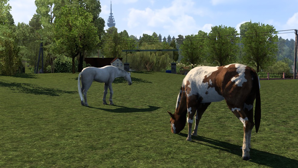 Image by Tony_Truck2024