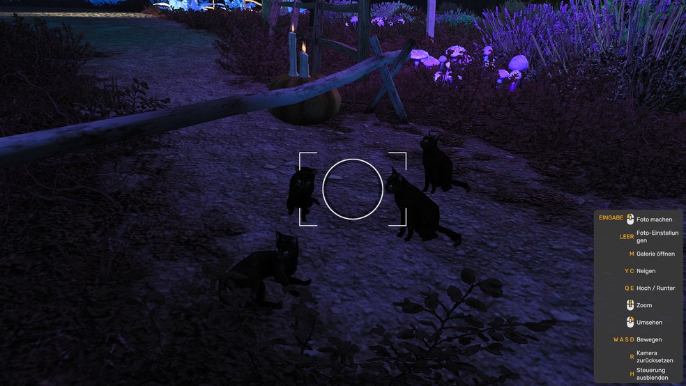 Image by Schlaumeier