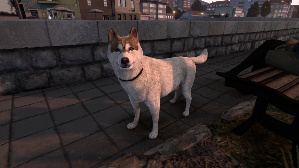 Image by tino_moser_999