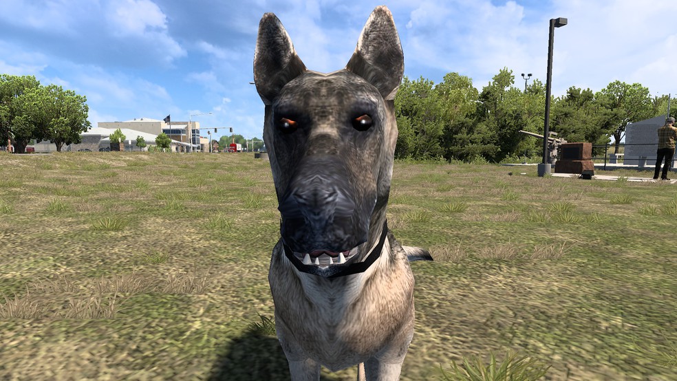 Image by PointPro994