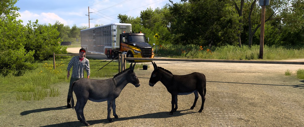 Image by marcelo_cwb