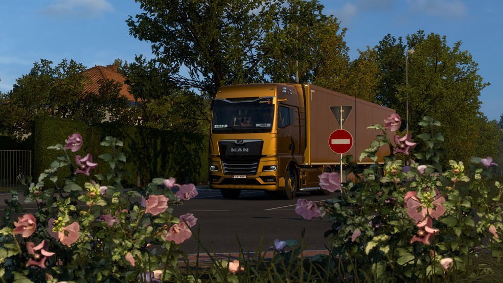 Image by AustrianBurger