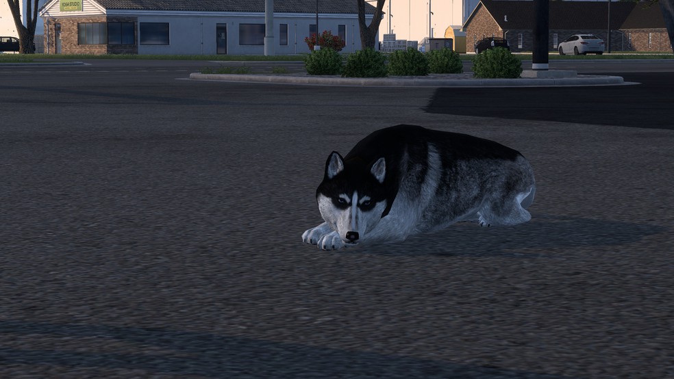 Image by AuddieD2015