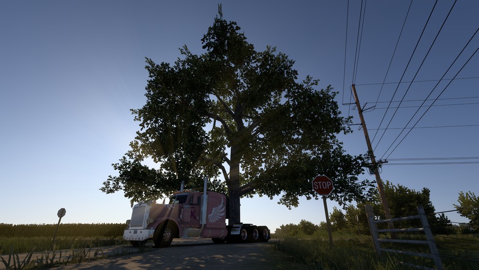 Image by mauriethegoose