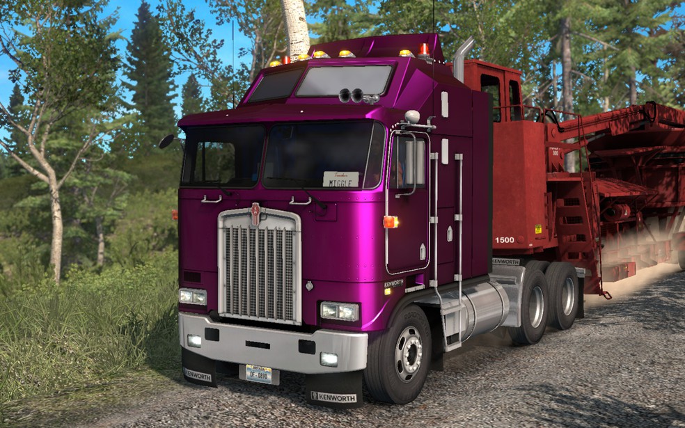 Image by Phoenix_pet