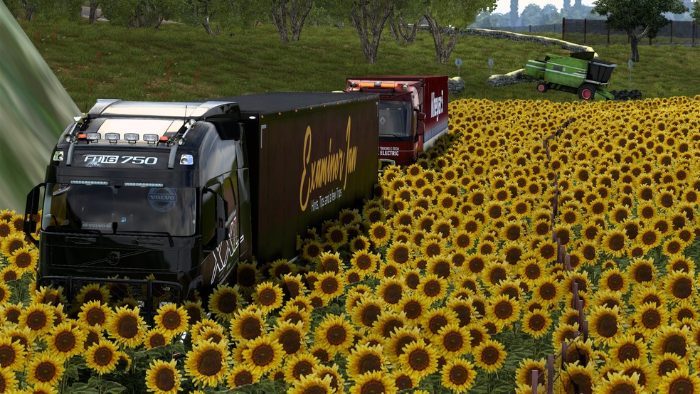 Image by ExaminerIan