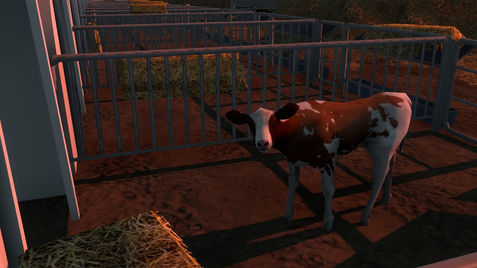 Image by Insomnivore