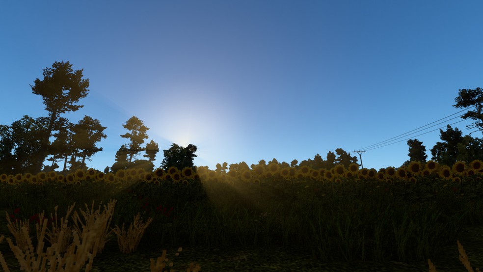 Image by Torcher01
