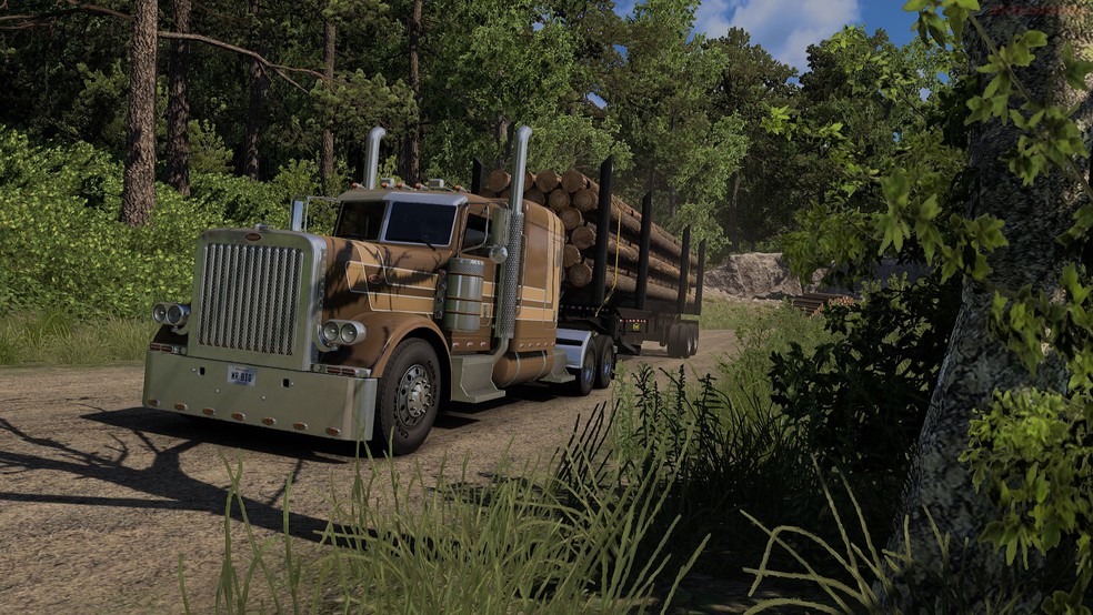 Image by BackWoodSailor