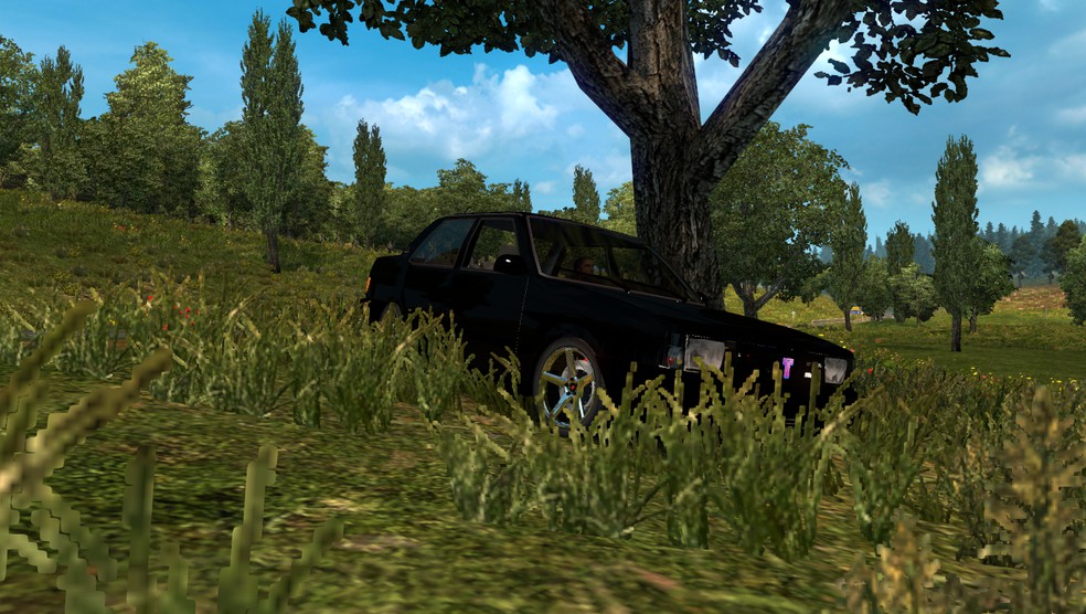 Image by Efza7559