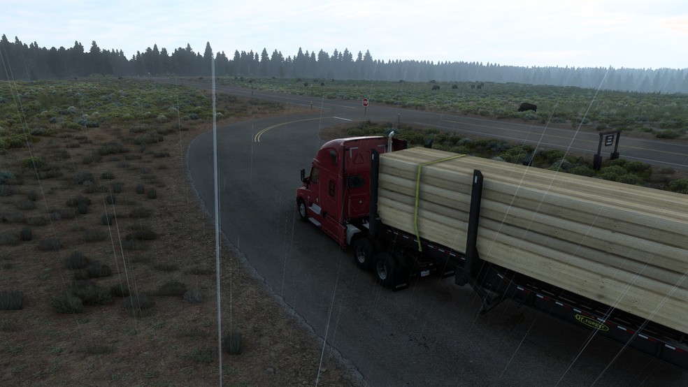 Image by Piotrek2302