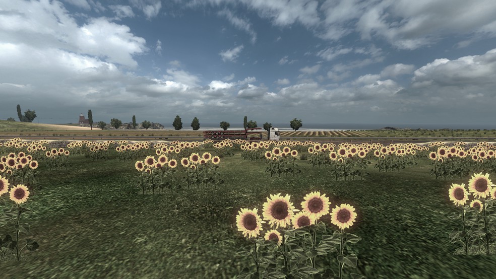 Image by pedigreemall