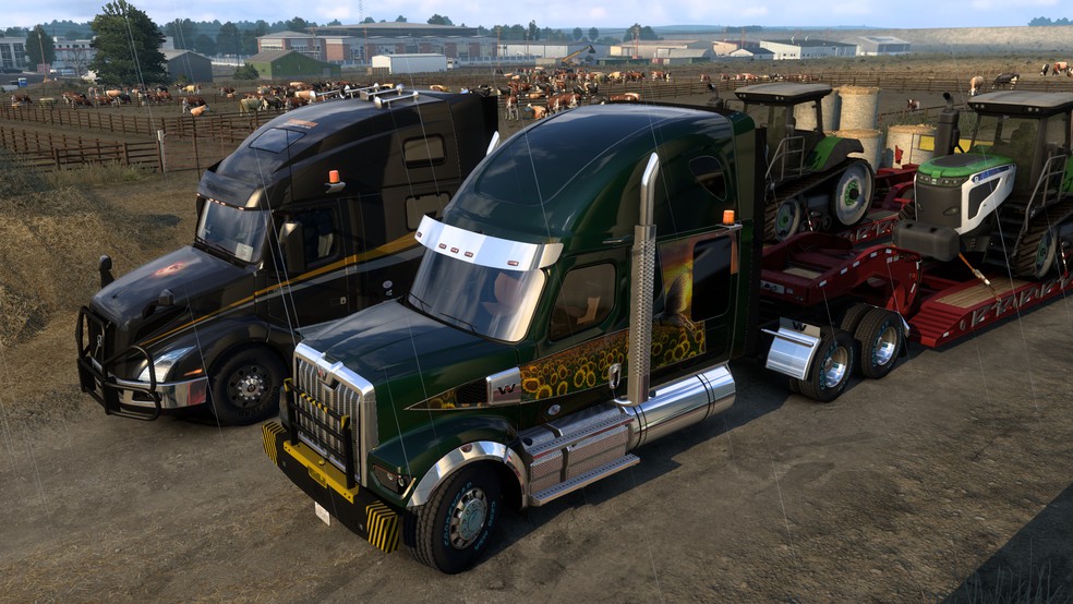 Image by ExaminerIan