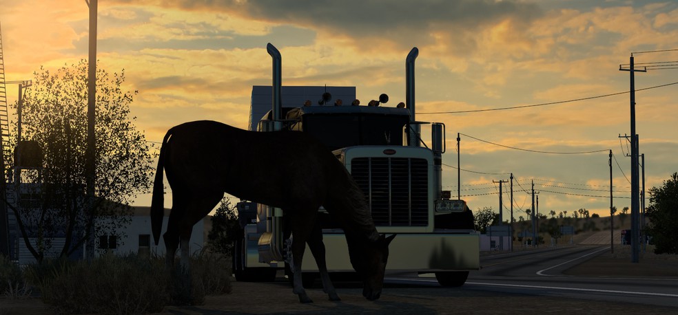 Image by Callejas_3215