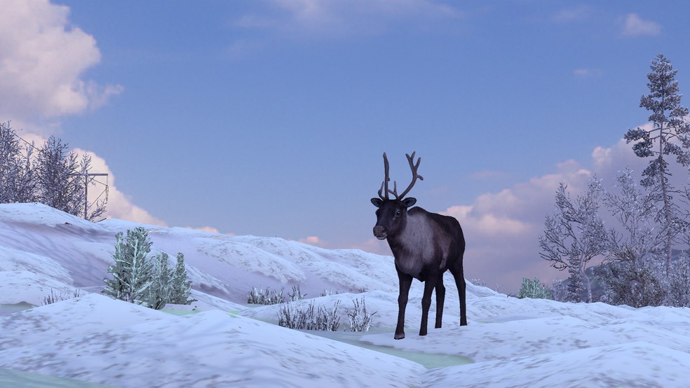 Image by Brummkreisel