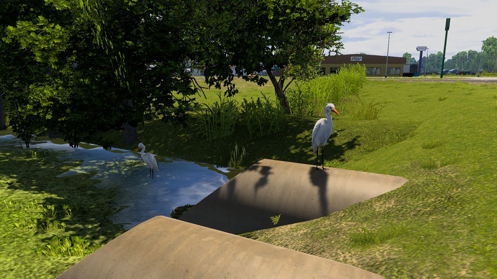 Image by Grzegorz_5703