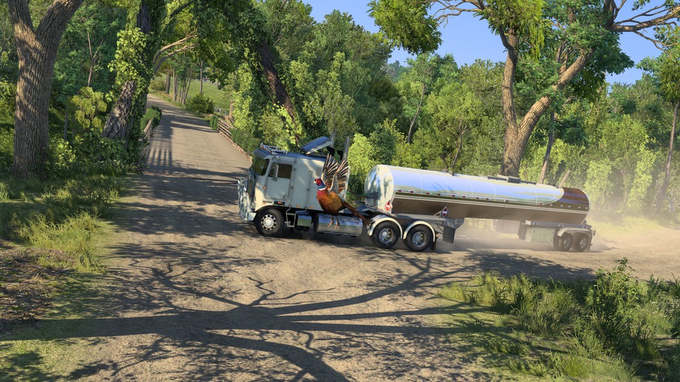 Image by TruckerLady1973