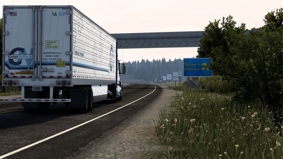 Image by FreedomSocks