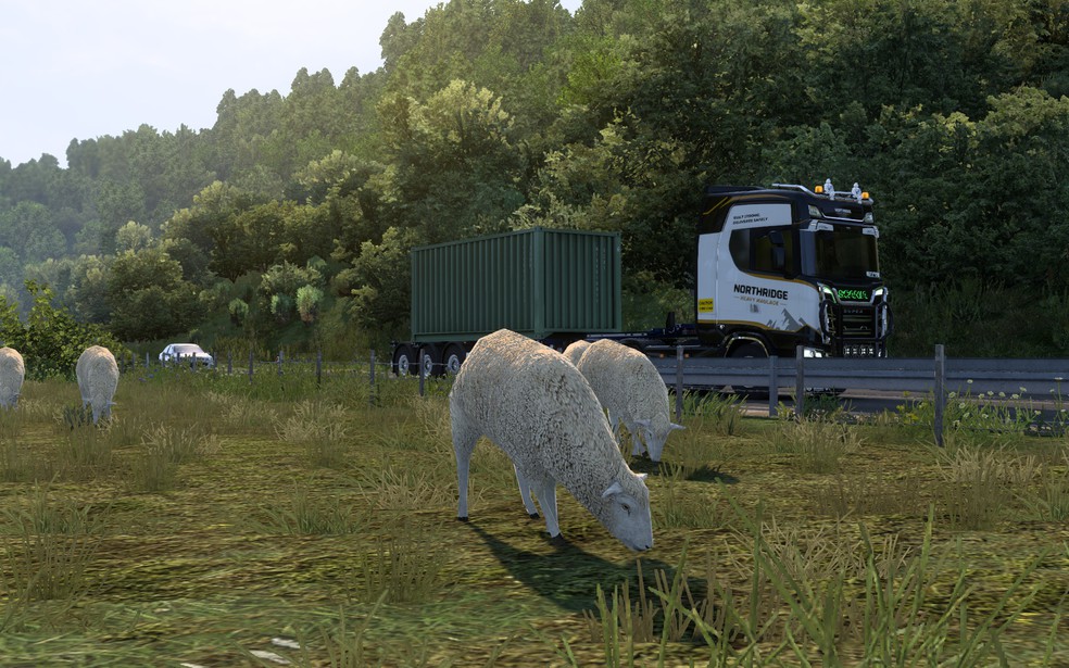 Image by thomasthamrt