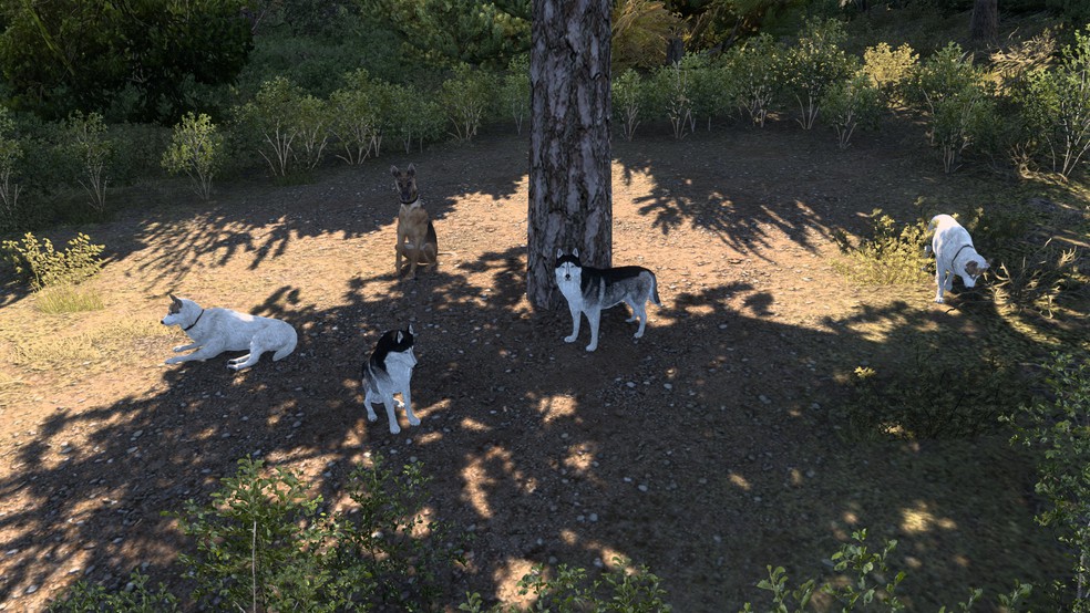 Image by samuraikazu