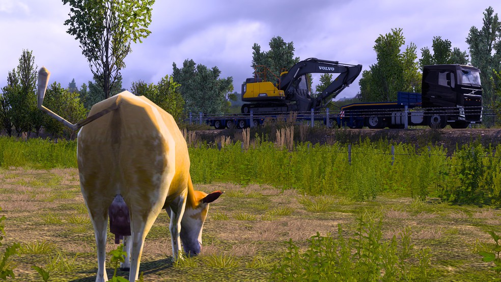 Image by Insomnivore