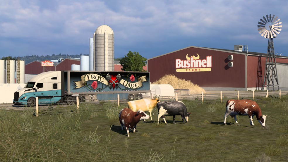 Image by tijdreiziger